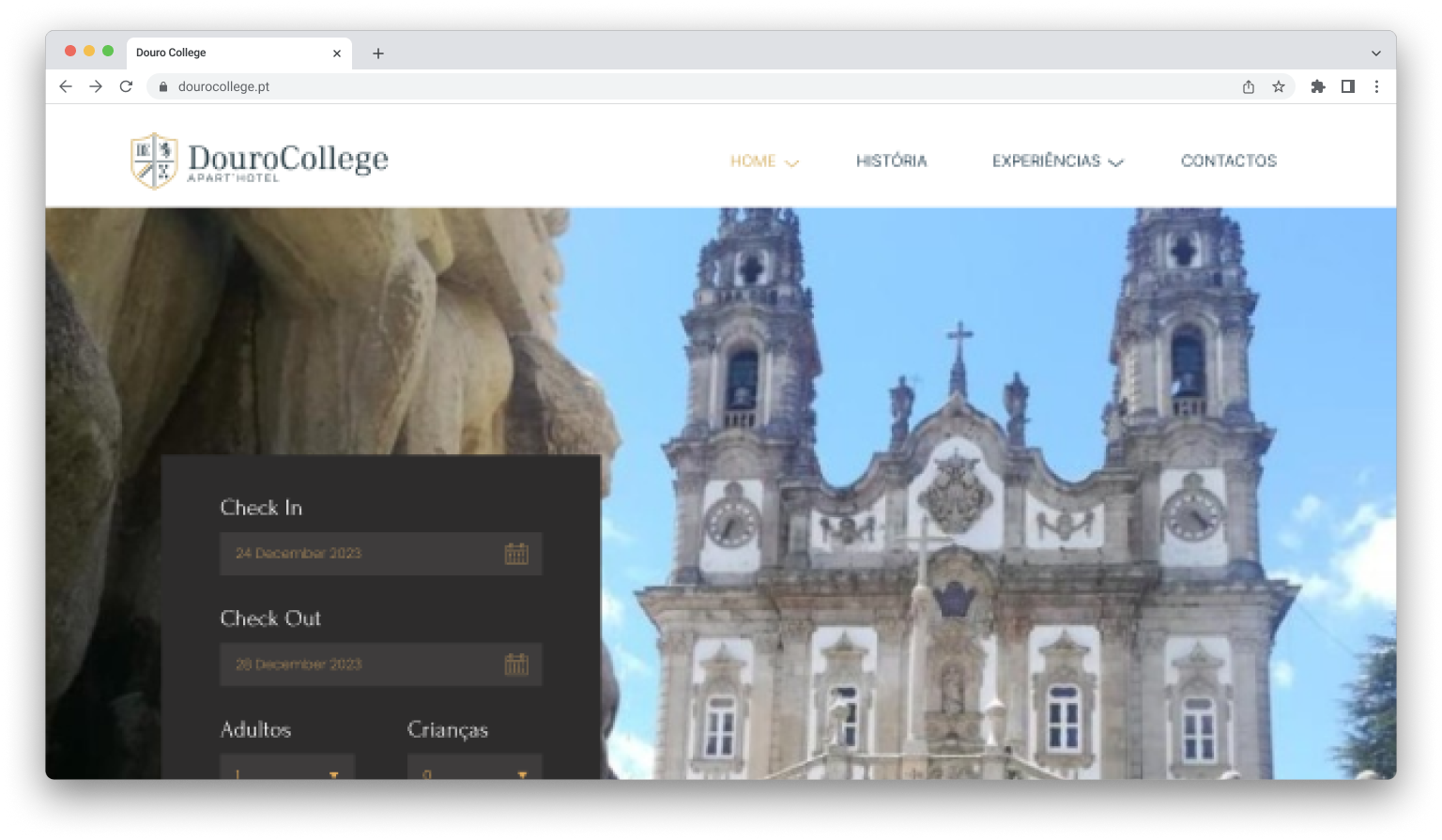 Ambula website preview